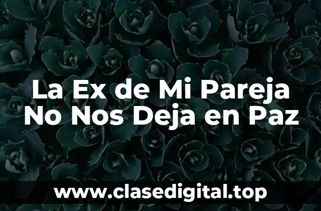 La Ex de Mi Pareja No Nos Deja en Paz