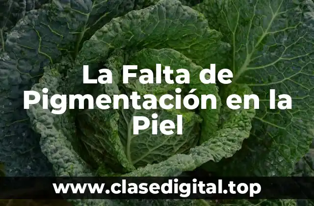 La Falta de Pigmentación en la Piel