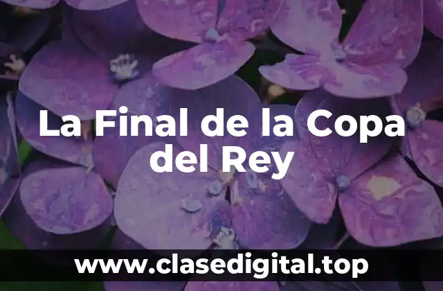 Historia de la Final de la Copa del Rey