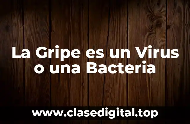 ¿Qué es la Gripe?