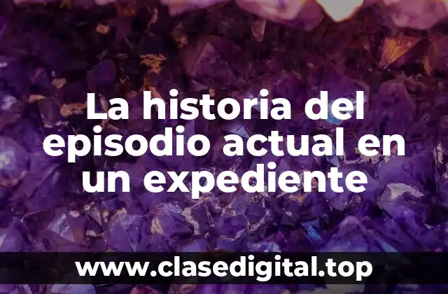 La historia del episodio actual en un expediente