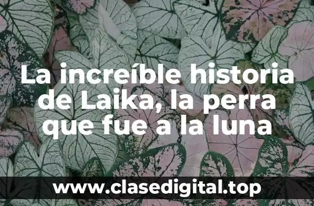 La increíble historia de Laika, la perra que fue a la luna
