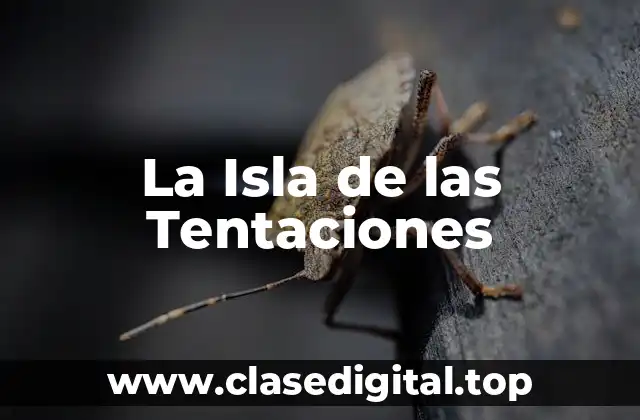 ¿Qué es Keyla la Isla de las Tentaciones?
