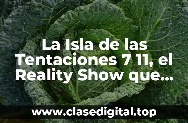La Isla de las Tentaciones 7 11, el Reality Show que conquistó a la televisión