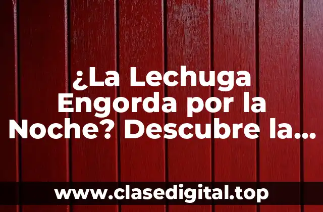 ¿La Lechuga Engorda por la Noche? Descubre la Verdad
