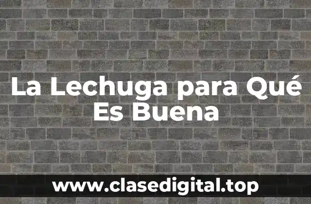 La Lechuga como Fuente de Vitamina A y Antioxidantes