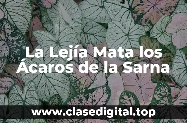 La Lejía Mata los Ácaros de la Sarna