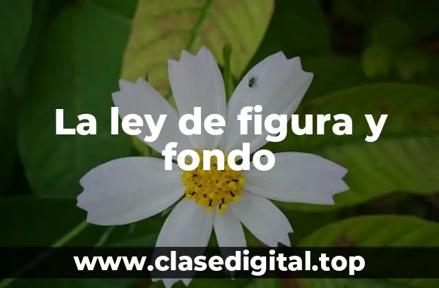 Ejemplos de la ley de figura y fondo