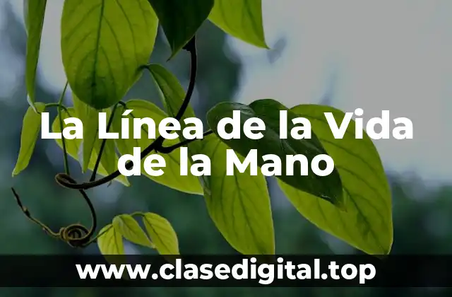 La Línea de la Vida de la Mano