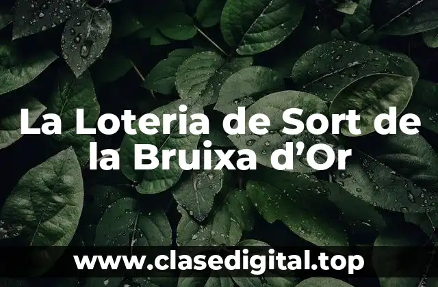 Historia de la Loteria de Sort de la Bruixa d'Or