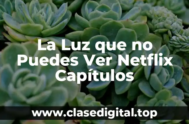 La Luz que no Puedes Ver Netflix Capítulos
