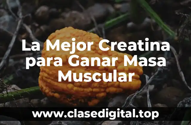 La Mejor Creatina para Ganar Masa Muscular