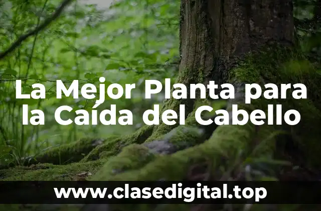 La Mejor Planta para la Caída del Cabello