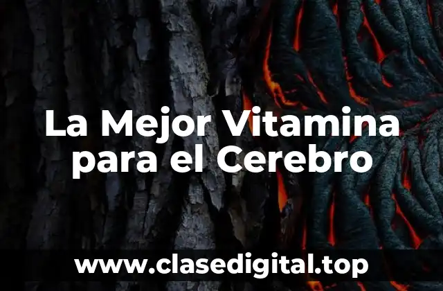 La Mejor Vitamina para el Cerebro
