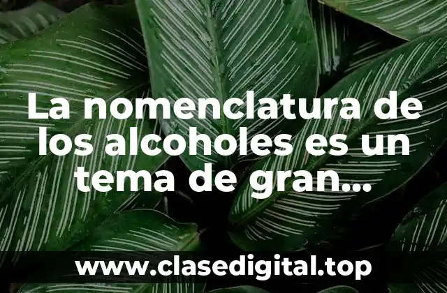 La nomenclatura de los alcoholes es un tema de gran importancia en la química orgánica y es fundamental para cualquier estudiante o profesional de la ciencia. y Significado