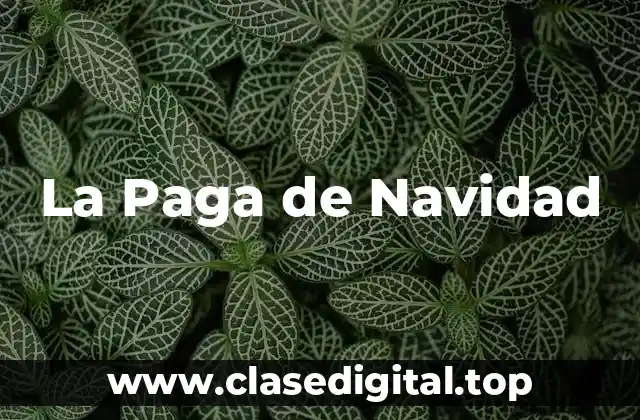 ¿Qué es la Paga de Navidad?