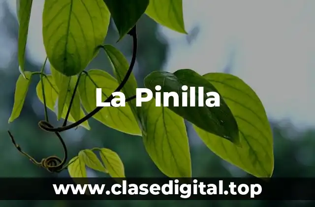 Historia de La Pinilla, Estación de Esquí y Montaña