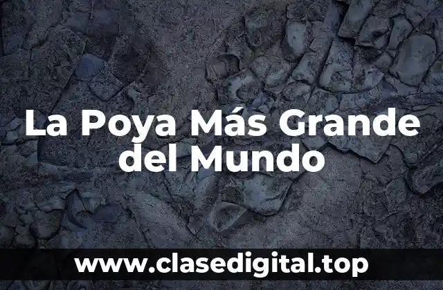 La Poya Más Grande del Mundo