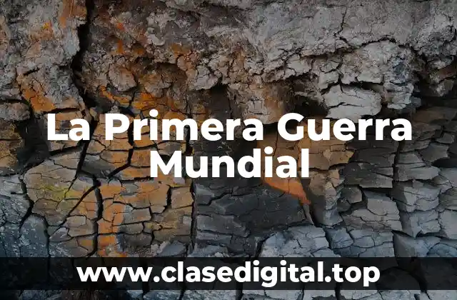 La Primera Guerra Mundial