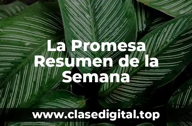 La Promesa Resumen de la Semana