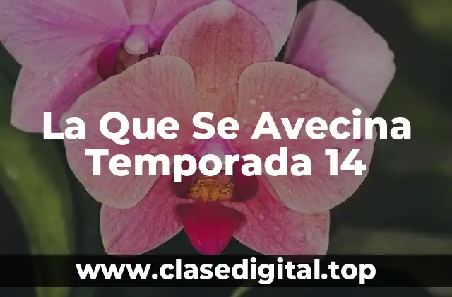 La Que Se Avecina Temporada 14