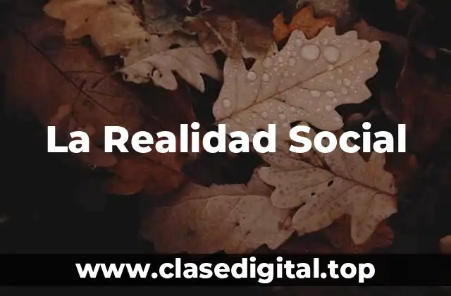La Realidad Social