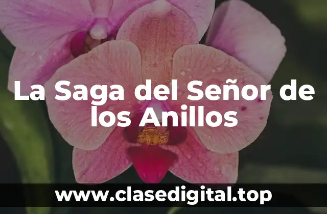 La Saga del Señor de los Anillos