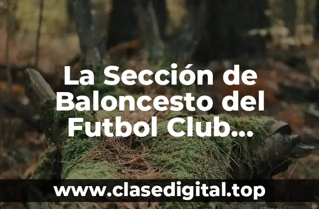 La Sección de Baloncesto del Futbol Club Barcelona