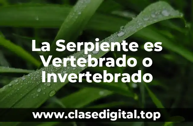 La Serpiente es Vertebrado o Invertebrado