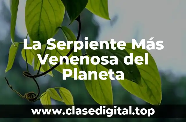 ¿Cuál es la Serpiente Más Venenosa del Planeta?