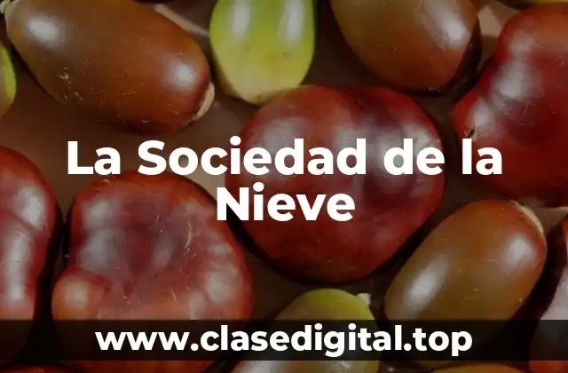 La Sociedad de la Nieve