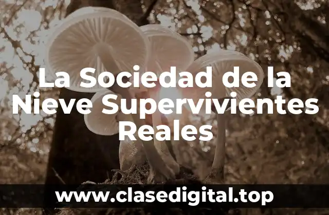 El Accidente Aéreo de los Andes