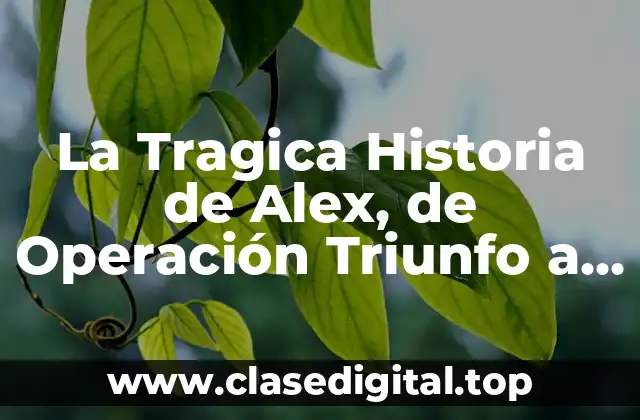 La Tragica Historia de Alex, de Operación Triunfo a Muerto
