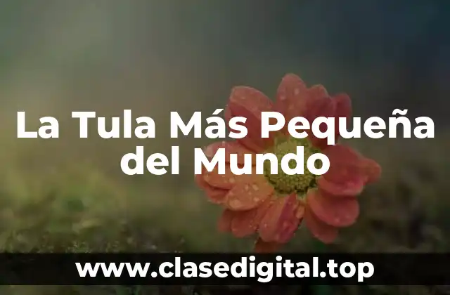 La Tula Más Pequeña del Mundo
