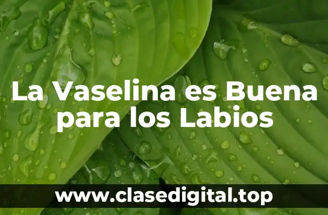 La Vaselina es Buena para los Labios