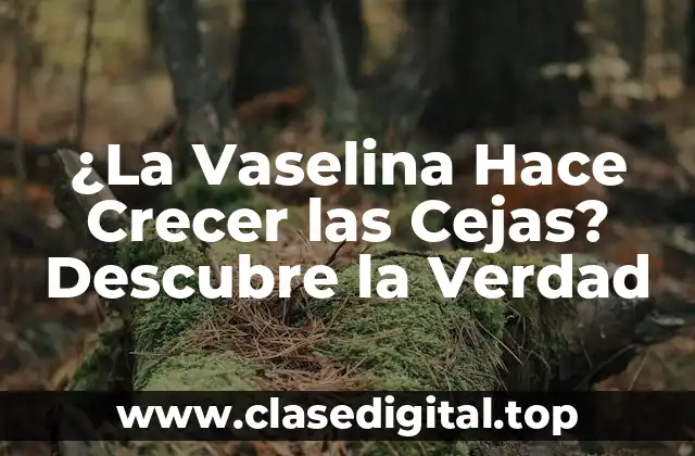 ¿Cómo Funciona la Vaselina en la Piel?