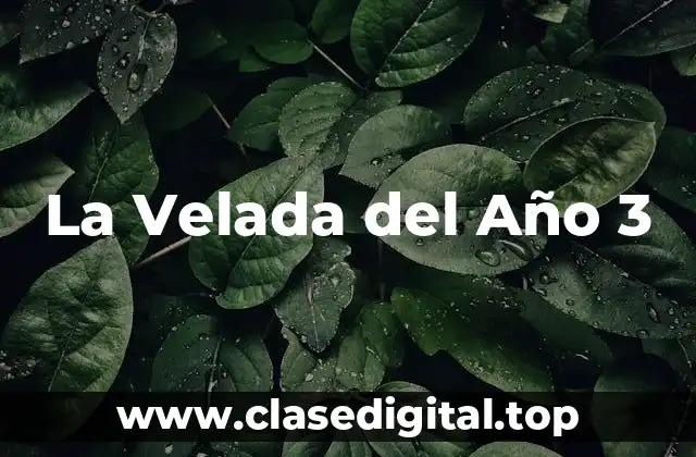 Orígenes y Historia de La Velada del Año 3