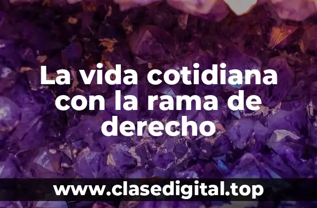 La vida cotidiana con la rama de derecho