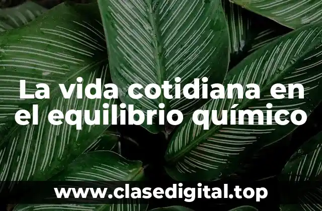 La vida cotidiana en el equilibrio químico