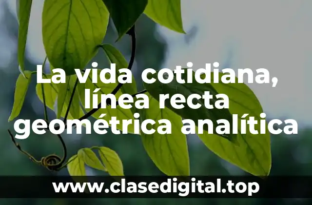 La vida cotidiana, línea recta geométrica analítica