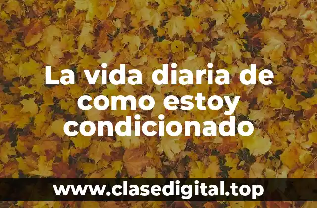 La vida diaria de como estoy condicionado