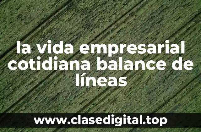 la vida empresarial cotidiana balance de líneas