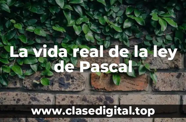 Ejemplos de la Ley de Pascal