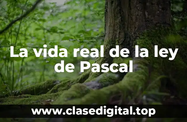 La vida real de la ley de Pascal