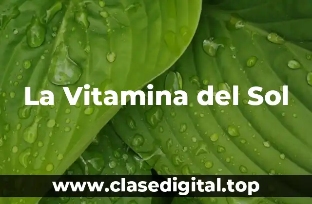 La Vitamina del Sol