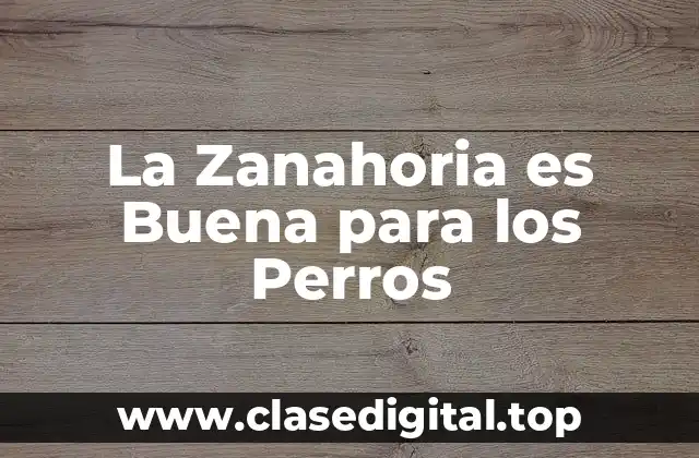 La Zanahoria es Buena para los Perros