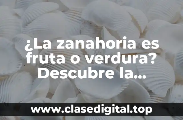 ¿La zanahoria es fruta o verdura? Descubre la respuesta