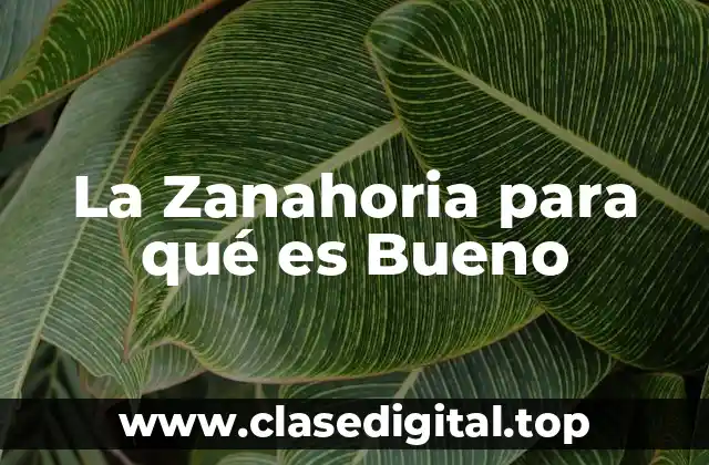 La Zanahoria para qué es Bueno