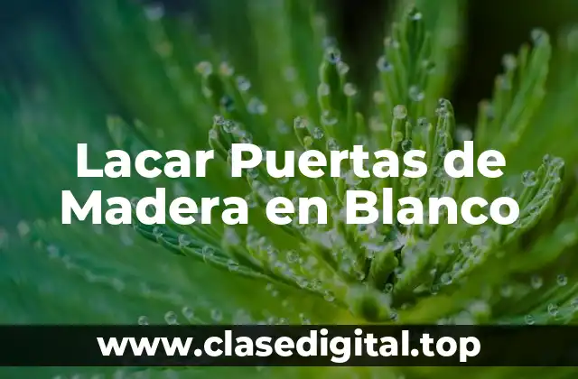 ¿Qué es Lacar y Cuáles son sus Ventajas?