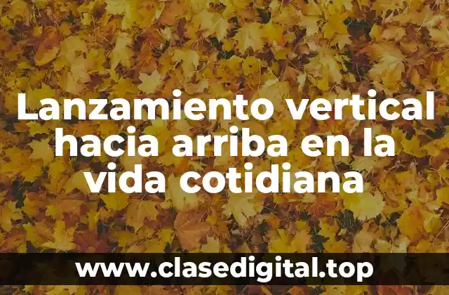 Lanzamiento vertical hacia arriba en la vida cotidiana